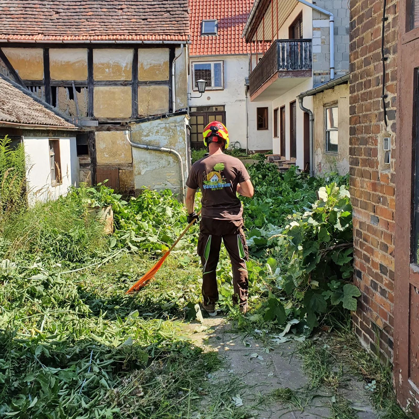 Entfernung von Unkraut