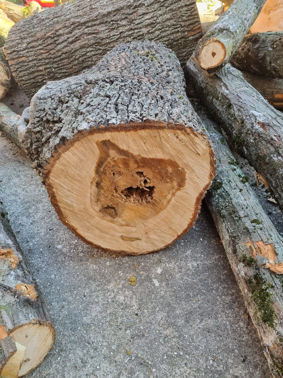 Einblick in die Arbeit von Haus- & Baumservice Höhne