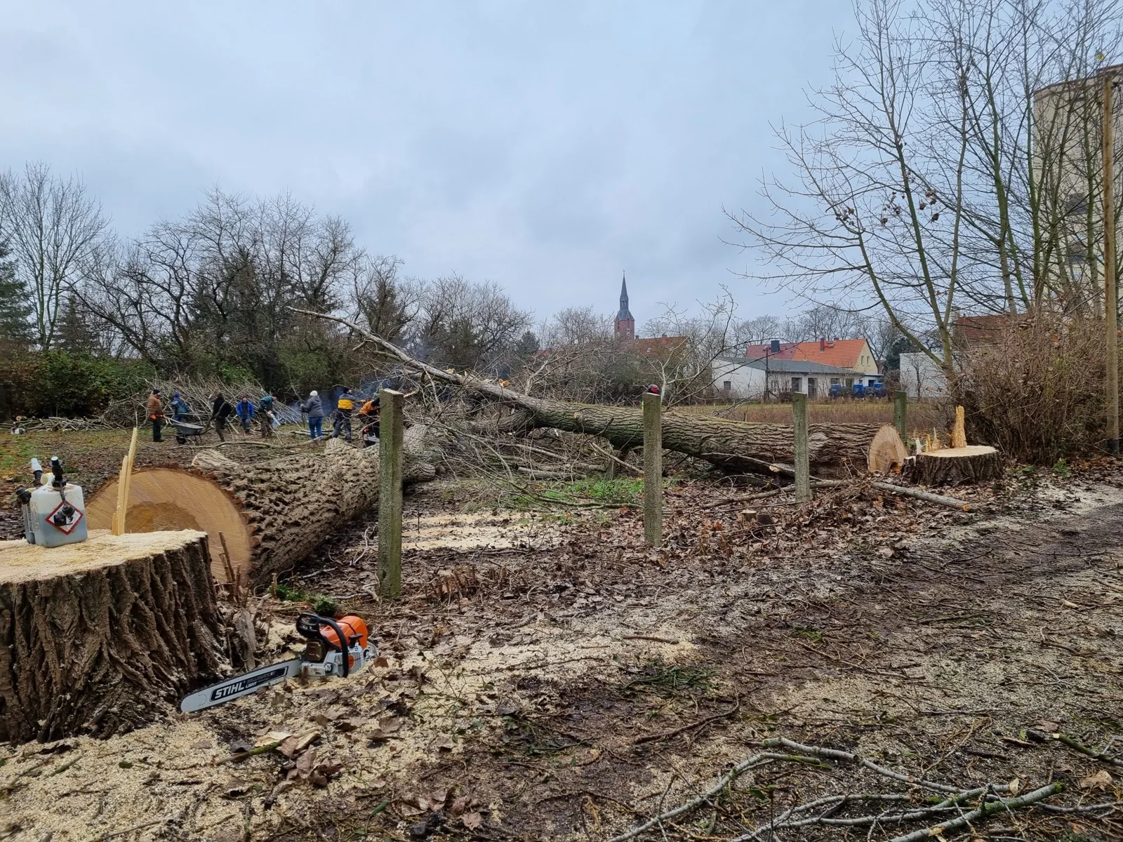 Einblick in die Arbeit von Haus- & Baumservice Höhne
