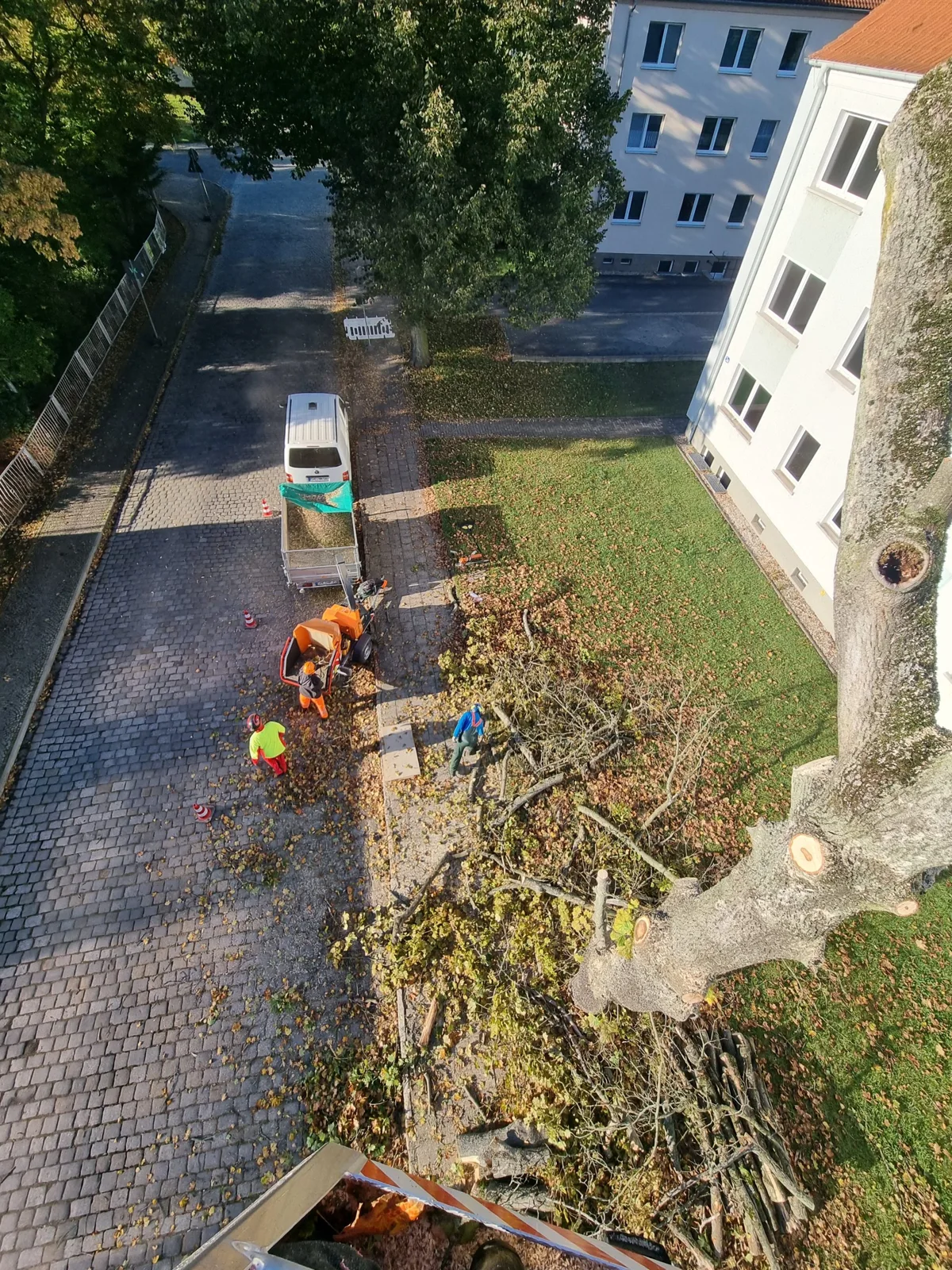 Einblick in die Arbeit von Haus- & Baumservice Höhne