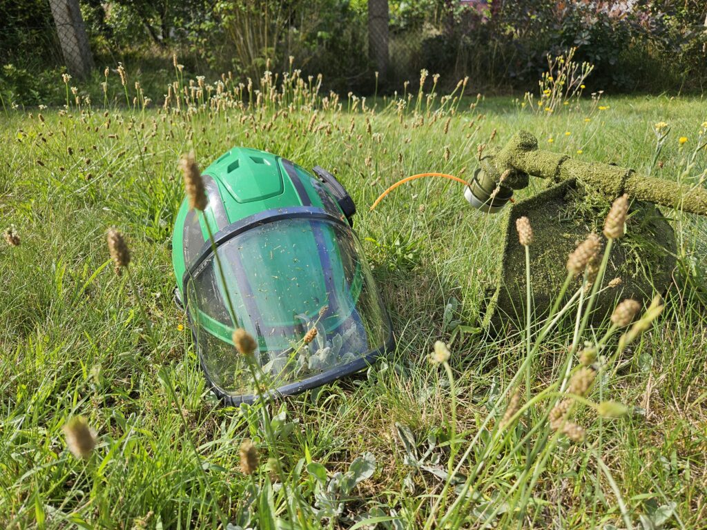Rasenpflege