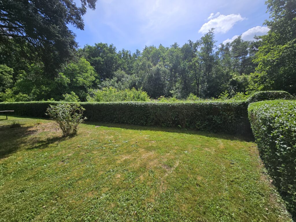 Rasen- und Heckenpflege